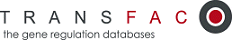TRANSFAC Logo